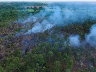 SITUATION REPORT #1: Belize Wildfires 