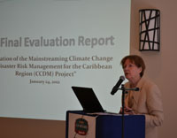 Dr. Priscilla Glidden, Evaluation Team Member and Meeting Facilitator presents the CCDM Project Evaluation Results 