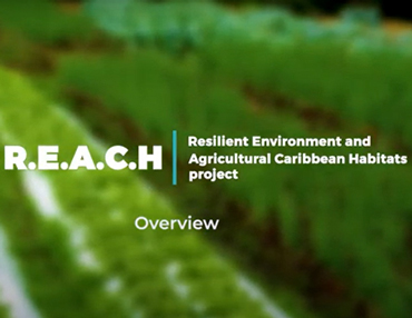 Resilient Environment & Agricultural Caribbean Habitats (R.E.A.C.H) Project