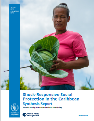 Shock Responsive Social ProtectioShock Responsive Social Protection in the Caribbean Synthesis Report_WFP 2020n in the Carib - Lit Review - WFP 2019